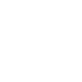 Olympique Marseille